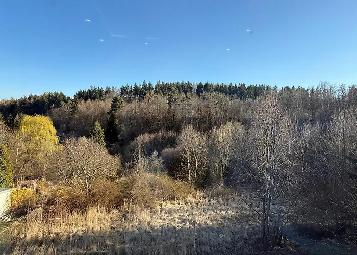 公寓 Greenhills 3 *